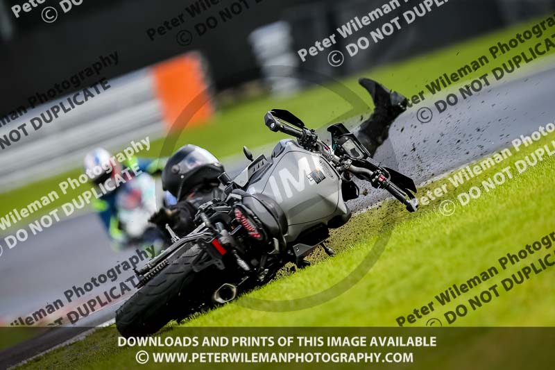 PJ Motorsport 2019;anglesey;brands hatch;cadwell park;croft;donington park;enduro digital images;event digital images;eventdigitalimages;mallory;no limits;oulton park;peter wileman photography;racing digital images;silverstone;snetterton;trackday digital images;trackday photos;vmcc banbury run;welsh 2 day enduro